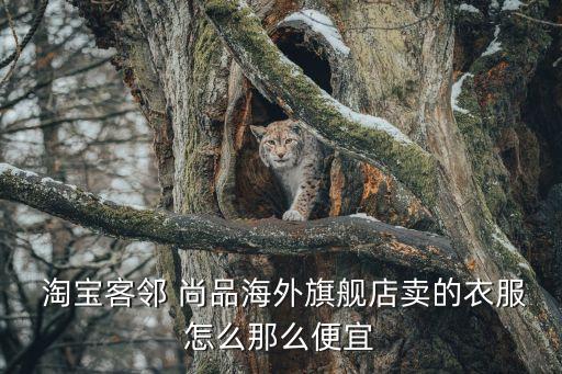 淘寶尚品體育用品,淘寶動力體育用品專營店是真的嗎