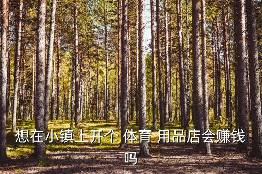想在小鎮(zhèn)上開個(gè) 體育 用品店會(huì)賺錢嗎