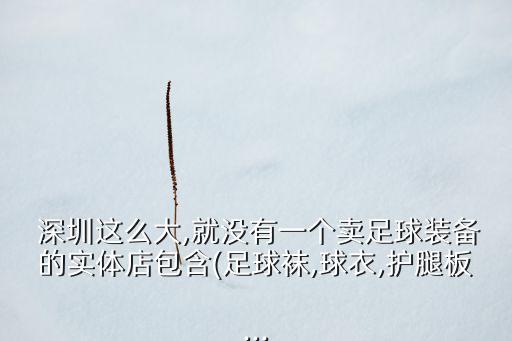  深圳這么大,就沒有一個賣足球裝備的實體店包含(足球襪,球衣,護腿板...
