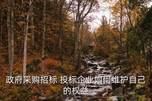政府采購招標(biāo) 投標(biāo)企業(yè)如何維護自己的權(quán)益