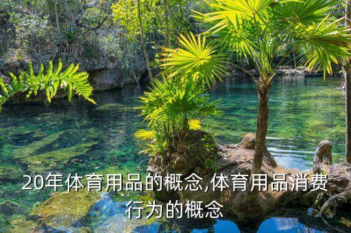 2020年體育用品的概念,體育用品消費行為的概念