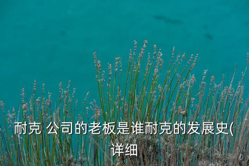 耐克 公司的老板是誰(shuí)耐克的發(fā)展史(詳細(xì)