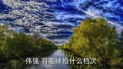 偉強(qiáng) 羽毛球拍什么檔次