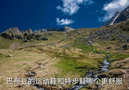 巴布豆的運(yùn)動(dòng)鞋和特步鞋哪個(gè)更舒服