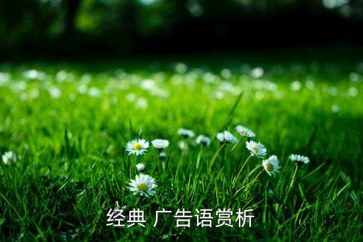 經(jīng)典 廣告語(yǔ)賞析