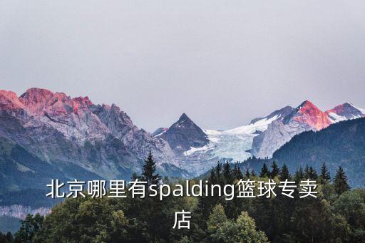 北京哪里有spalding籃球?qū)Ｙu店