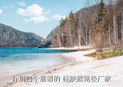介紹四個(gè)靠譜的 硅膠蒸籠墊廠家