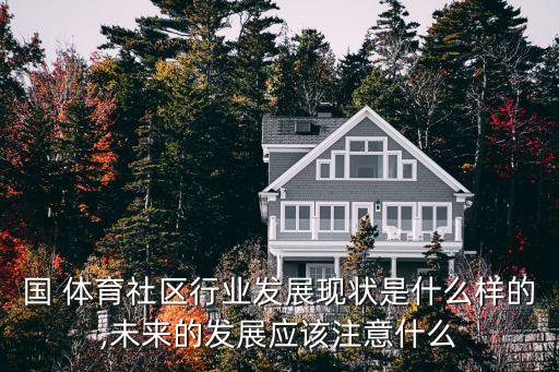 國(guó) 體育社區(qū)行業(yè)發(fā)展現(xiàn)狀是什么樣的,未來(lái)的發(fā)展應(yīng)該注意什么