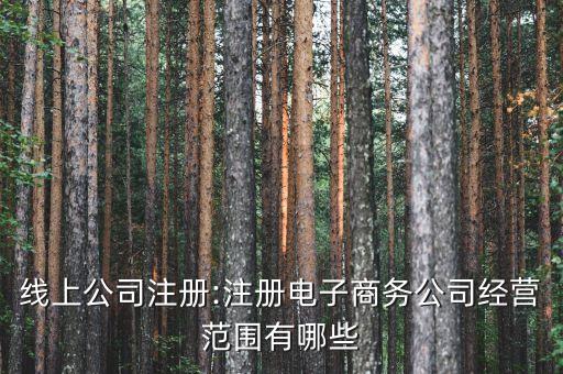 線上公司注冊:注冊電子商務(wù)公司經(jīng)營范圍有哪些