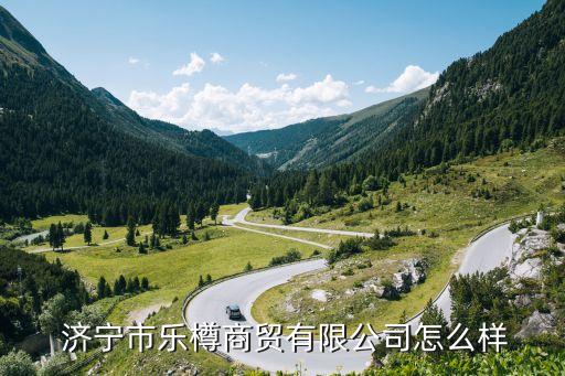  濟(jì)寧市樂(lè)樽商貿(mào)有限公司怎么樣