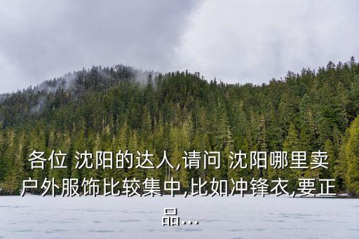 各位 沈陽(yáng)的達(dá)人,請(qǐng)問(wèn) 沈陽(yáng)哪里賣(mài)戶外服飾比較集中,比如沖鋒衣,要正品...
