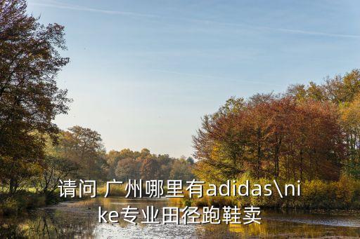請問 廣州哪里有adidas\nike專業(yè)田徑跑鞋賣