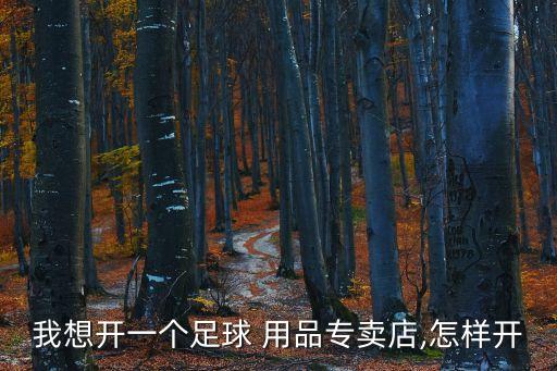 關(guān)于申請體育用品,申請購買體育用品的報告