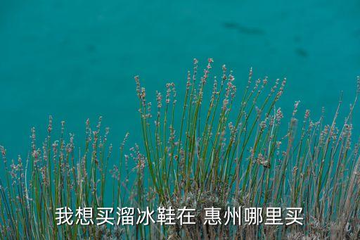 我想買溜冰鞋在 惠州哪里買
