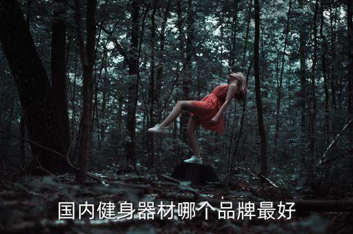 國內(nèi)健身器材哪個品牌最好