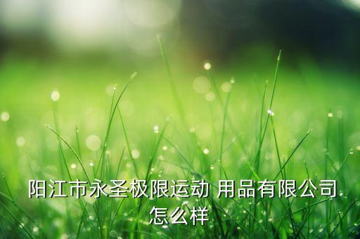  陽江市永圣極限運動 用品有限公司怎么樣
