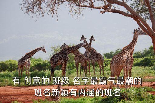 有 創(chuàng)意的 班級 名字最霸氣最潮的班名新穎有內涵的班名