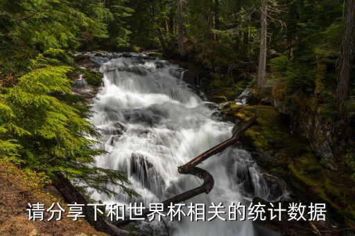 請(qǐng)分享下和世界杯相關(guān)的統(tǒng)計(jì)數(shù)據(jù)