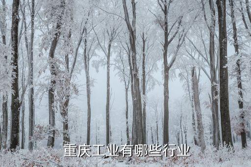 重慶體育用品制造,重慶消費者對體育用品的需求