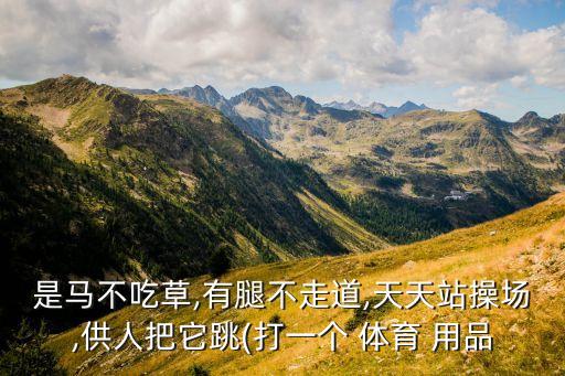 一打體育用品,保證供應 打一體育用品