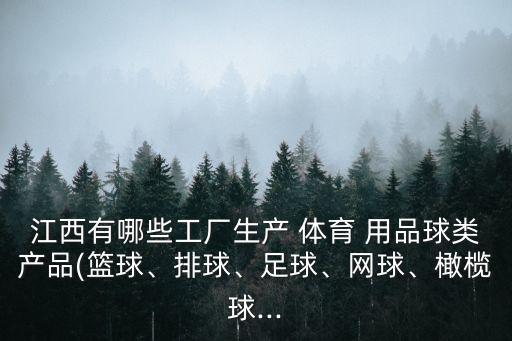 江西有哪些工廠生產 體育 用品球類產品(籃球、排球、足球、網球、橄欖球...