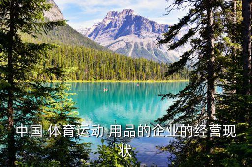 體育用品發(fā)展政策背景,國(guó)家對(duì)體育用品企業(yè)的政策