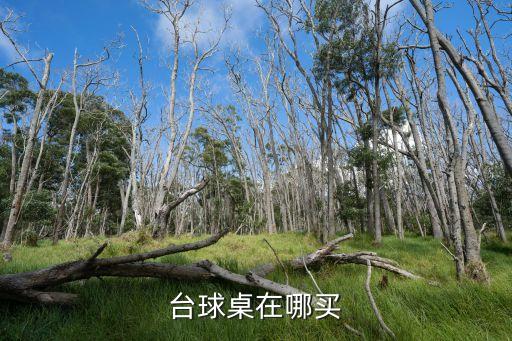 臺球桌在哪買