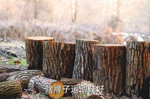 啥牌子運(yùn)動(dòng)鞋好