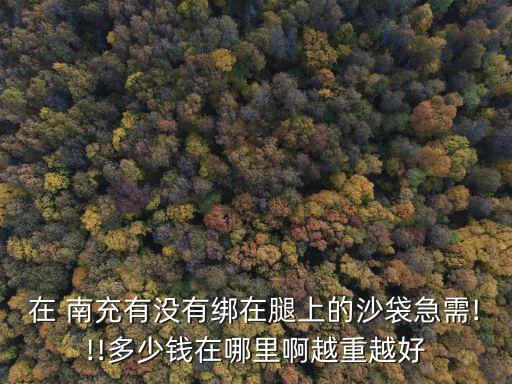 在 南充有沒(méi)有綁在腿上的沙袋急需!!!多少錢(qián)在哪里啊越重越好