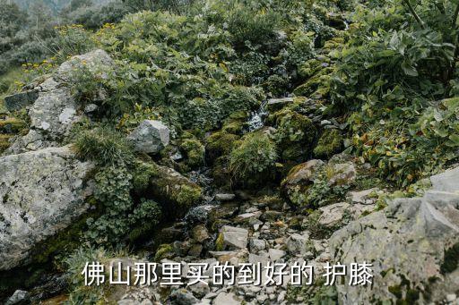 佛山那里買的到好的 護(hù)膝