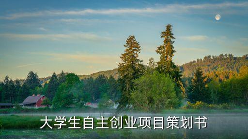 大學(xué)生自主創(chuàng)業(yè)項(xiàng)目策劃書