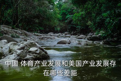 中國 體育產(chǎn)業(yè)發(fā)展和美國產(chǎn)業(yè)發(fā)展存在哪些差距