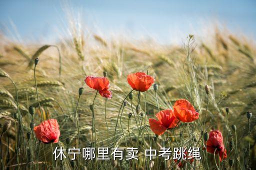 休寧哪里有賣 中考跳繩