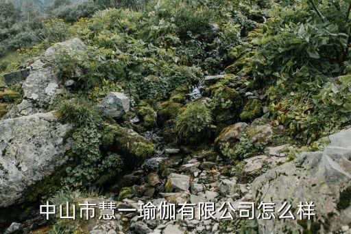 中山日華體育用品,中山一動體育用品有限公司