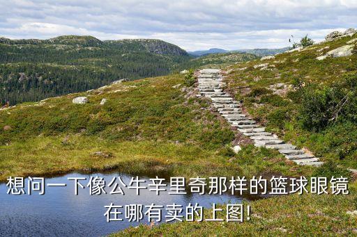 想問一下像公牛辛里奇那樣的籃球眼鏡在哪有賣的上圖!