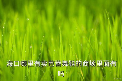  ?？谀睦镉匈u芭蕾舞鞋的商場里面有嗎