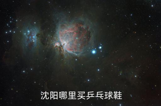  沈陽哪里買乒乓球鞋