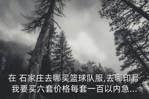 在 石家莊去哪買籃球隊(duì)服,去哪印號(hào)我要買六套價(jià)格每套一百以內(nèi)急...