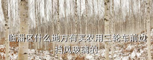  臨淄區(qū)什么地方有買(mǎi)農(nóng)用三輪車(chē)前邊擋風(fēng)玻璃的