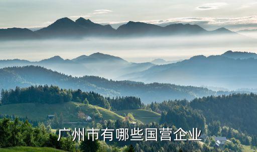 廣州市有哪些國營企業(yè)