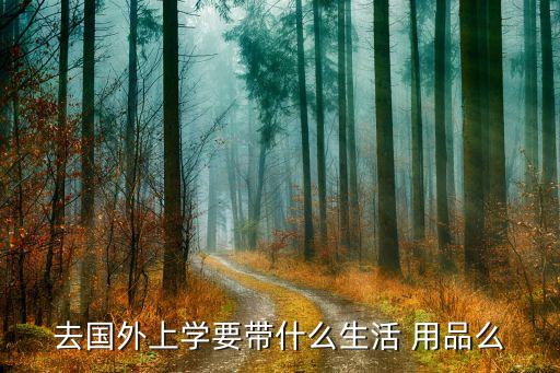 去國(guó)外上學(xué)要帶什么生活 用品么