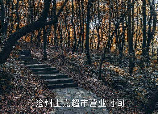  滄州上嘉超市營業(yè)時(shí)間