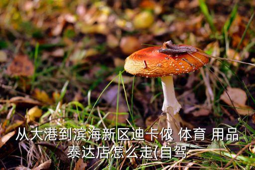 從大港到濱海新區(qū)迪卡儂 體育 用品泰達(dá)店怎么走(自駕
