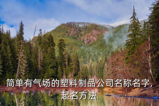 簡單有氣場的塑料制品公司名稱名字,起名方法