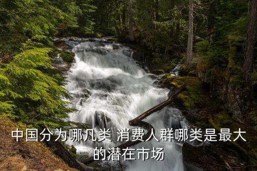 中國(guó)分為哪幾類 消費(fèi)人群哪類是最大的潛在市場(chǎng)