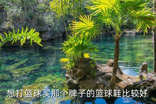 想打籃球買那個牌子的籃球鞋比較好