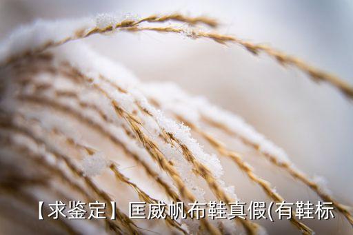 體育用品造假,廈門(mén)體育用品博覽會(huì)