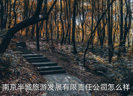 南京半城旅游發(fā)展有限責(zé)任公司怎么樣