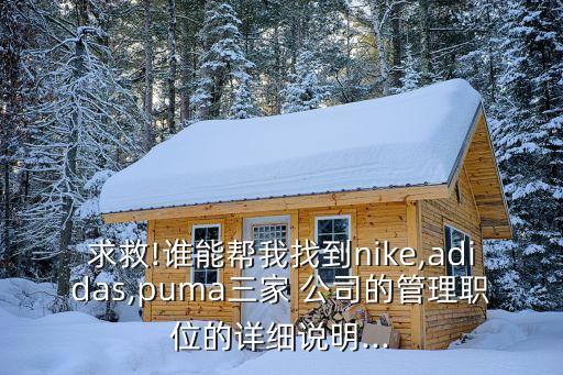 求救!誰能幫我找到nike,adidas,puma三家 公司的管理職位的詳細說明...