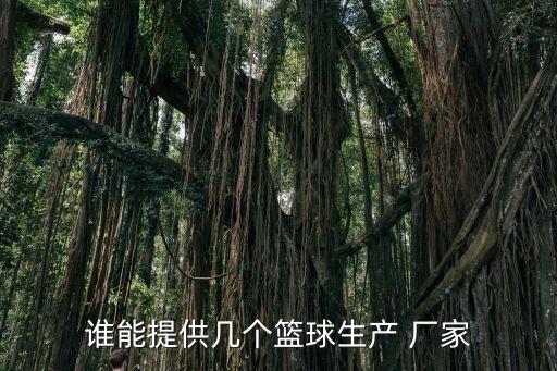 誰能提供幾個(gè)籃球生產(chǎn) 廠家